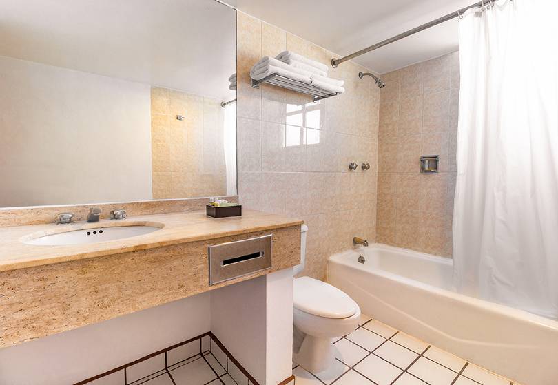 Master suite Hotel Francia Aguascalientes Master suite Hotel Francia Aguascalientes