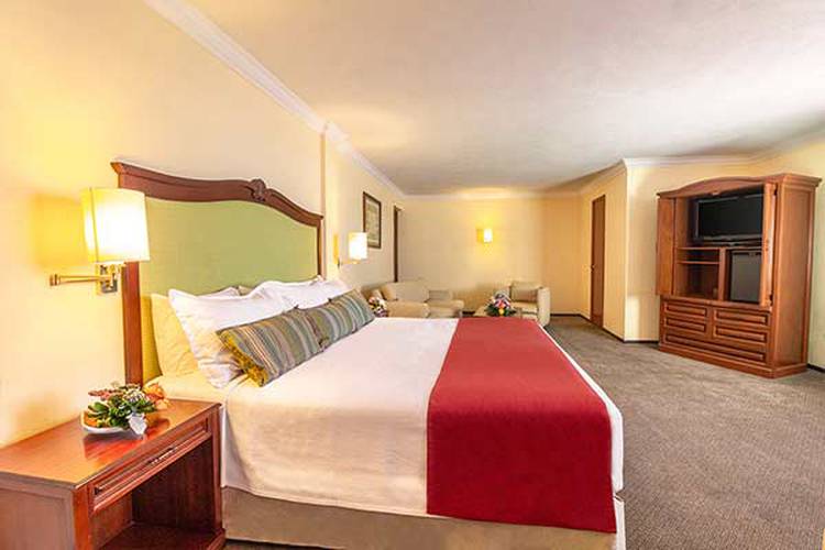 Room Francia Aguascalientes Hotel