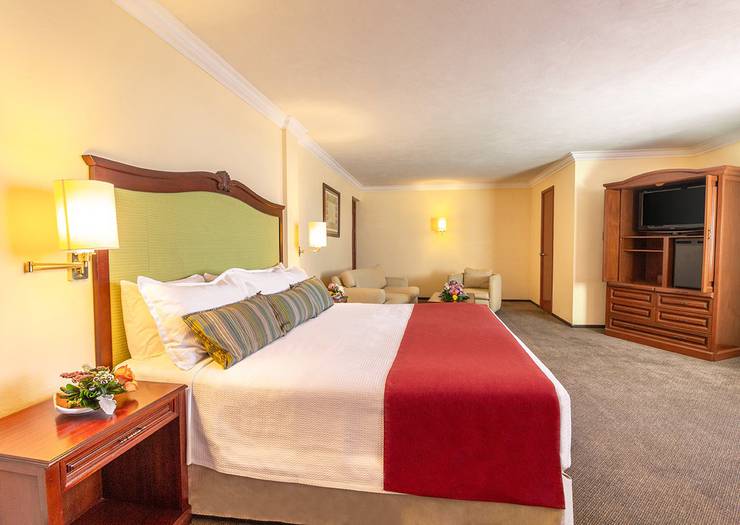 Master suite Francia Aguascalientes Hotel Master suite Francia Aguascalientes Hotel